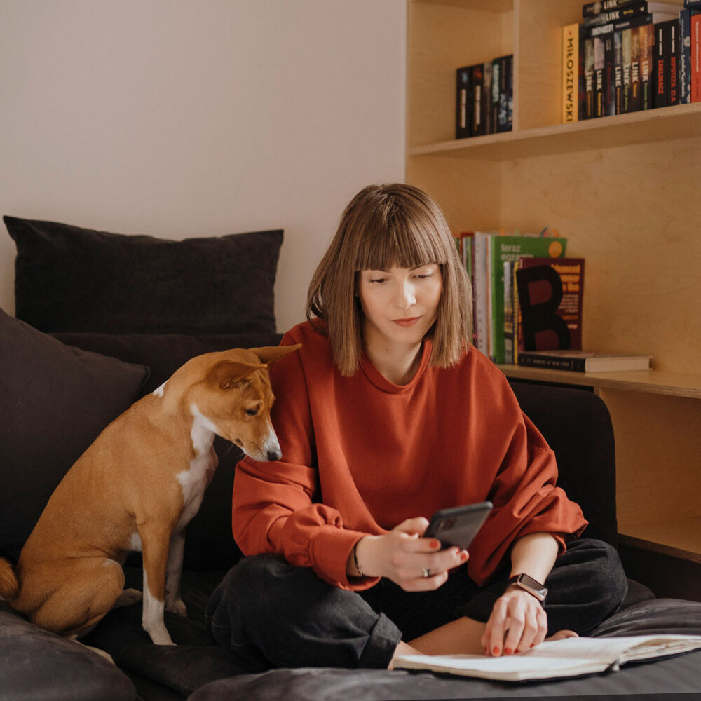 The dog is called Misha, she is an African Basenji.
